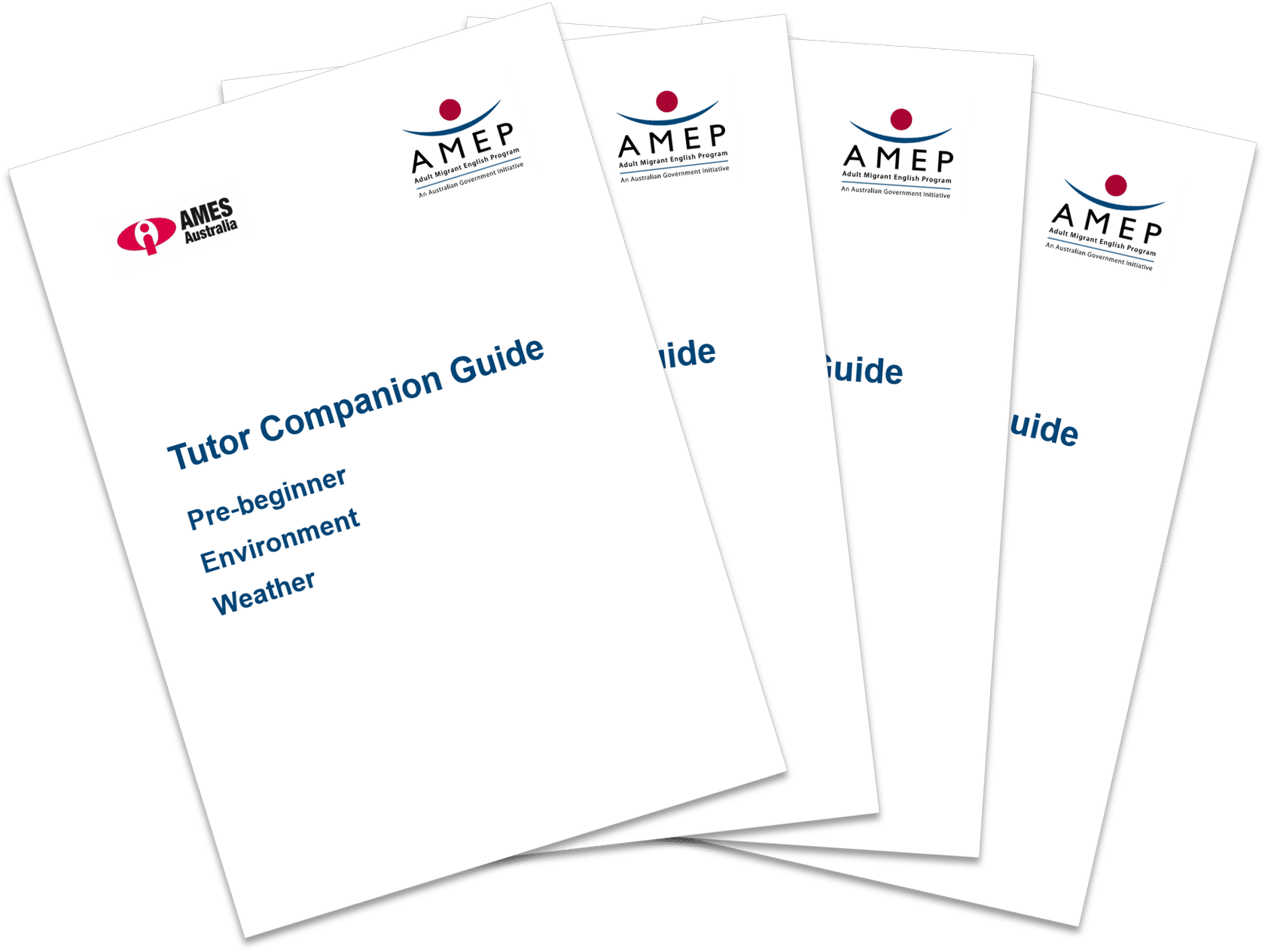 Tutor Companion Guide